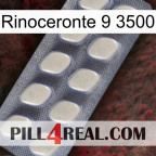 Rhino 9 3500 08